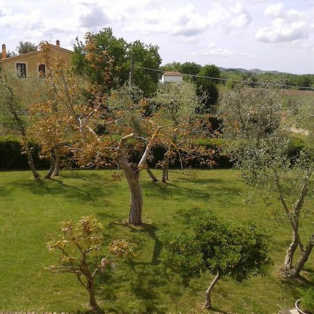 Il Punto Verde SantʼAntonio 외부 사진