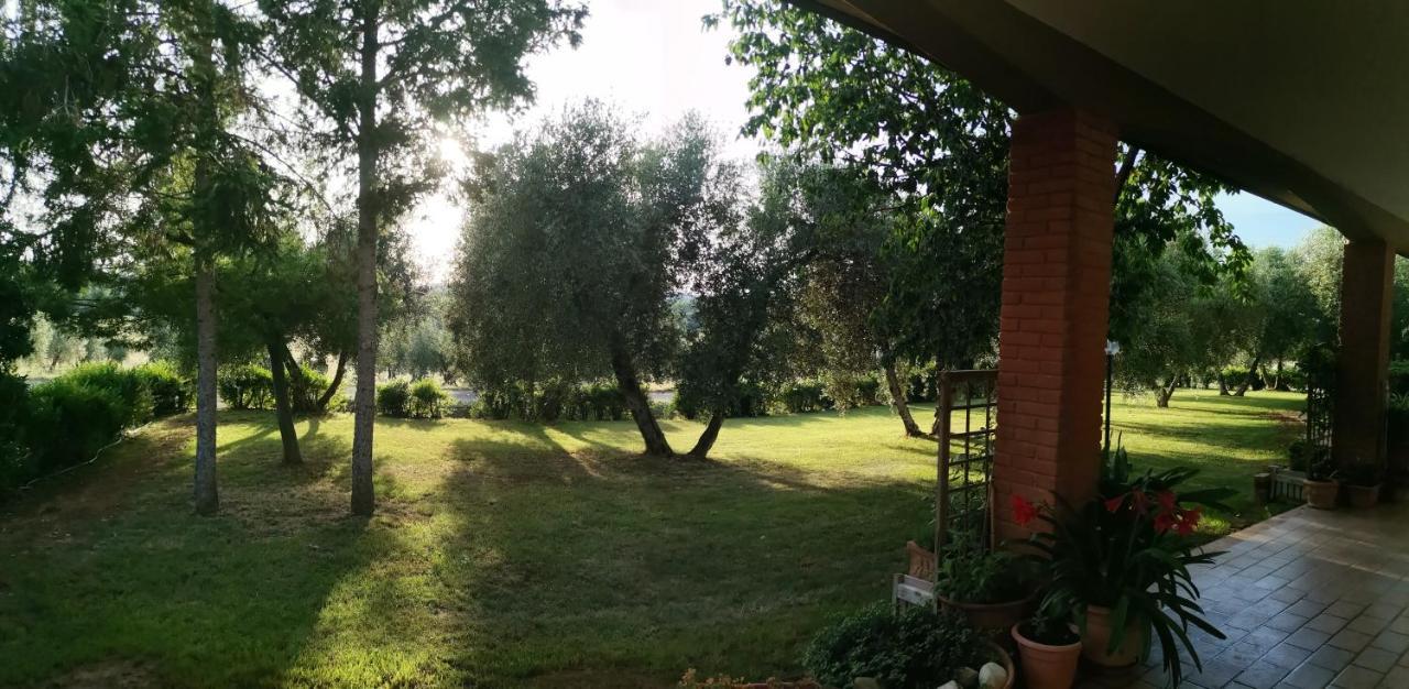Il Punto Verde SantʼAntonio 외부 사진