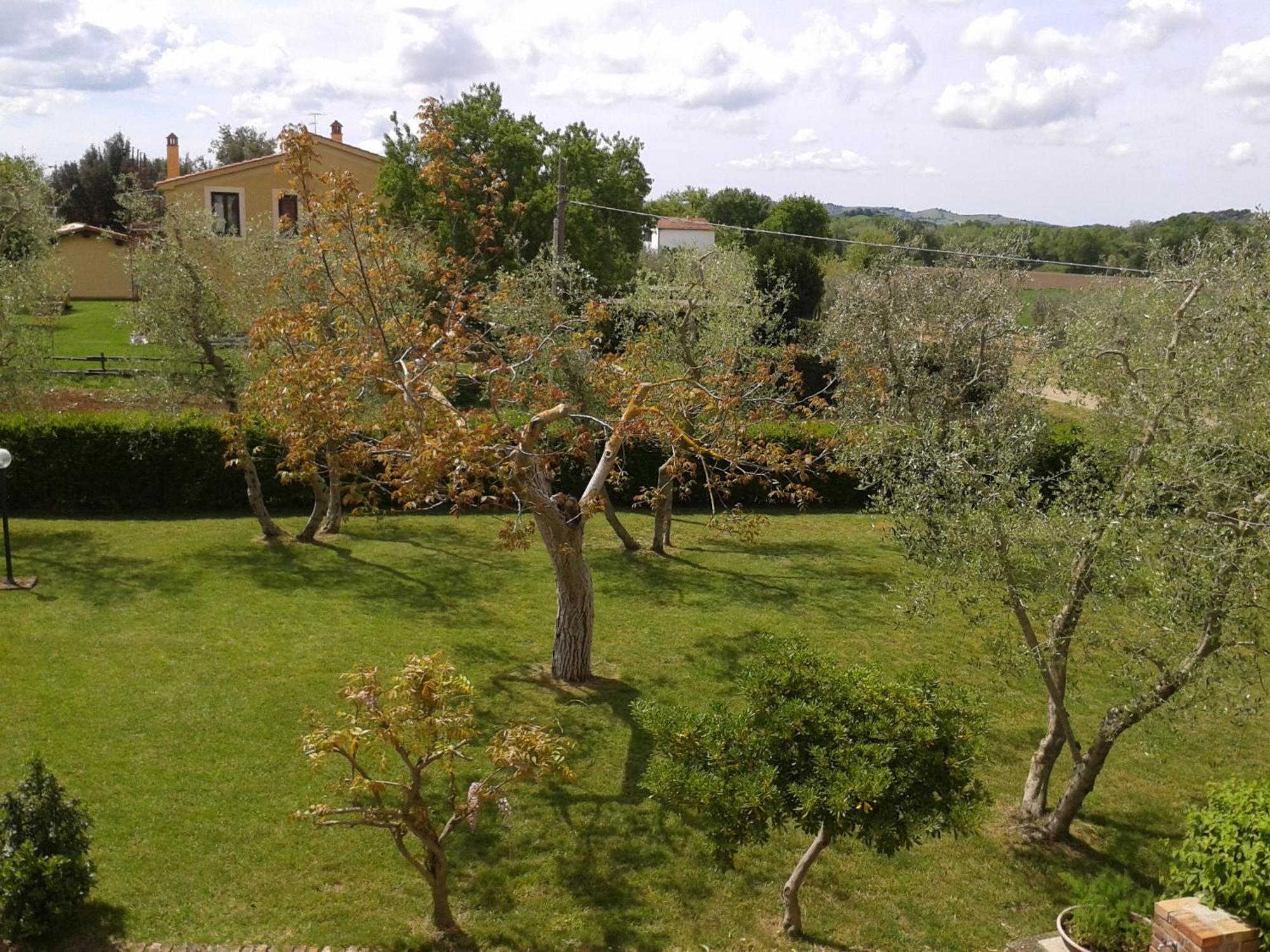 Il Punto Verde SantʼAntonio 외부 사진