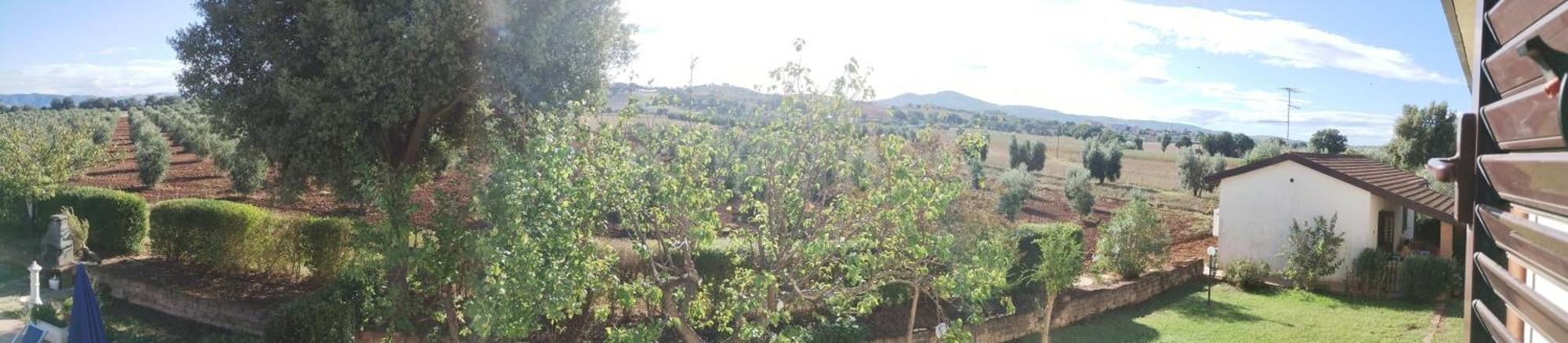 Il Punto Verde SantʼAntonio 외부 사진