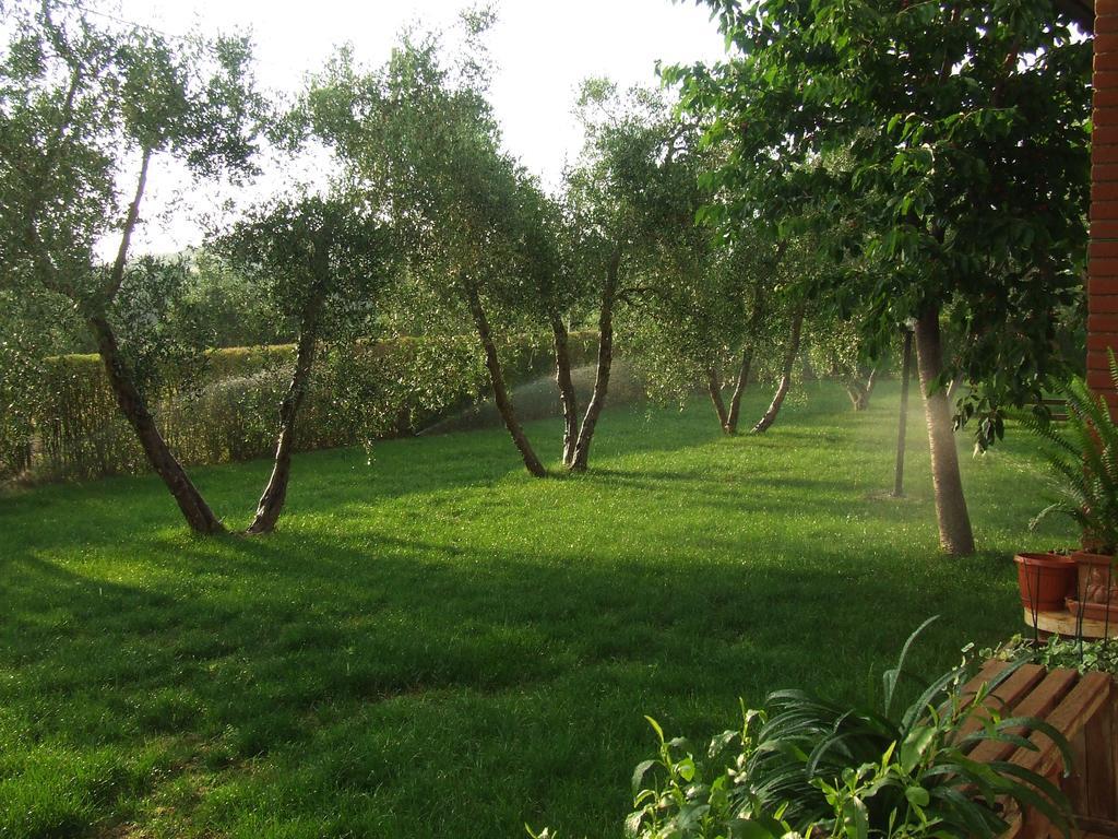 Il Punto Verde SantʼAntonio 외부 사진