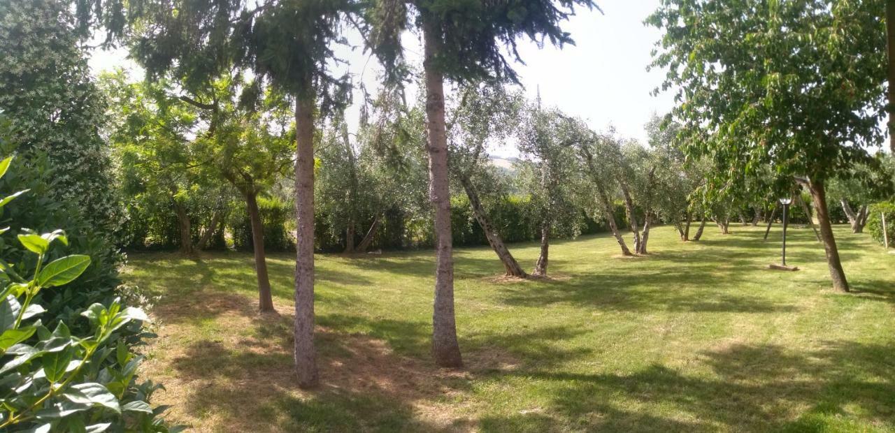 Il Punto Verde SantʼAntonio 외부 사진