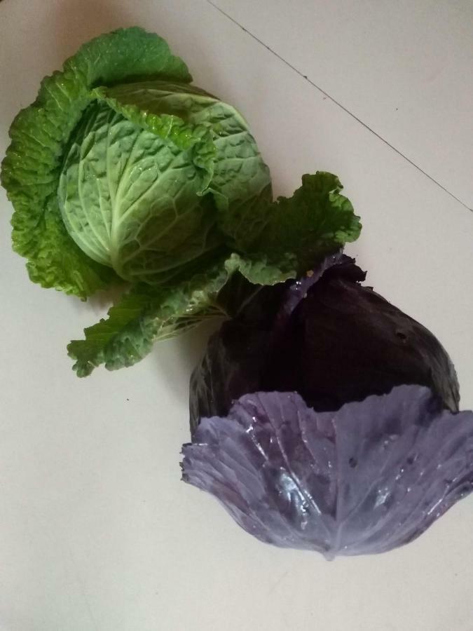 Il Punto Verde SantʼAntonio 외부 사진